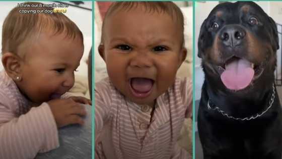 "This is crazy": Baby caught on camera acting like family's dog, video leaves netizens surprised