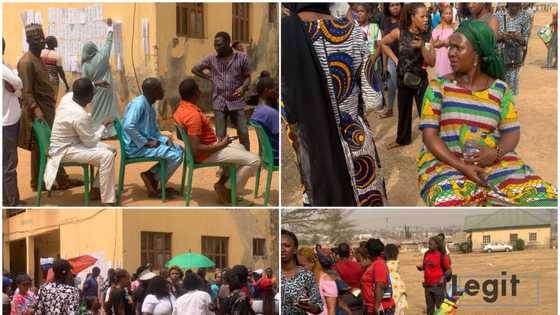 4 Ways Nigerians Showed Their Commitment to Vote, Protect Their Votes, Have a New President