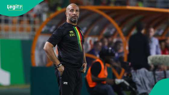 Eric Chelle: Ex NFF chief names what new Super Eagles coach needs to succeed
