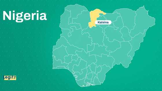 62 kidnap victims escape after airstrikes hit bandits’ camps in Katsina