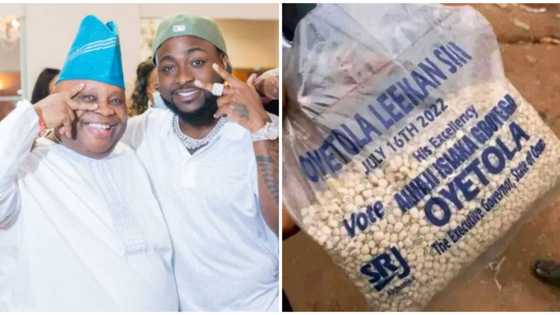 Mumu don do: Davido reacts to photo showing bag of beans with Governor Oyetola's name, roots for uncle