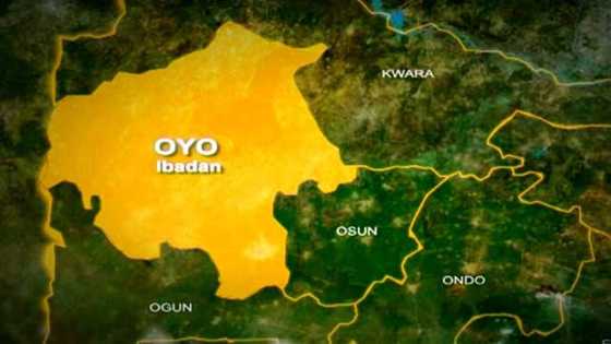 BREAKING: Court remands 80-year-old Oyo PDP leader over murder of man previously alleged to be killed by herdsmen