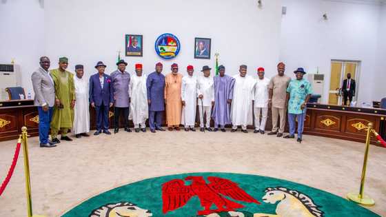 Southern governors did not consult Fulani leaders, North kicks over ban on open grazing