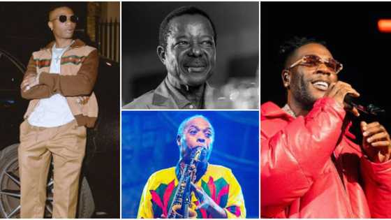 Wizkid, Burna Boy, KSA, Femi Kuti, other Nigerian stars who have been nominated for Grammys and lost, won