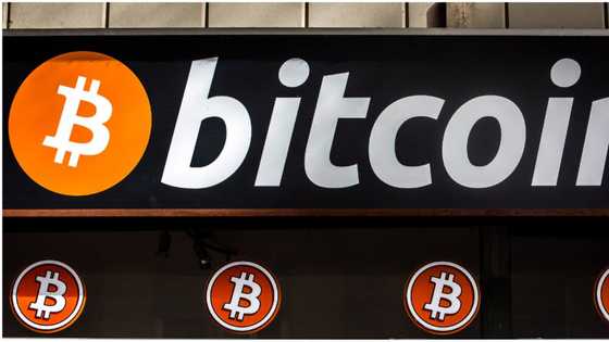 Bitcoin Shatters Gold Again, As Elon Musk, Microstrategy Backing Continues To Aid Crypto