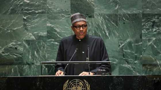 Shugaba Buhari a 2021: Cikakken tarihi, dukiyar da ya tara, shekaru, ilimi da iyalinsa