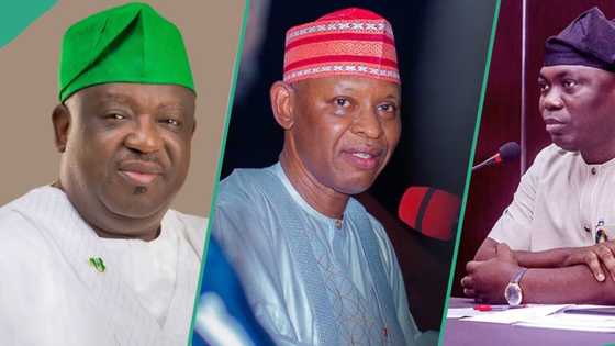 Kano Gov Yusuf, 12 others risk sack as opposition candidates drag them to Supreme Court