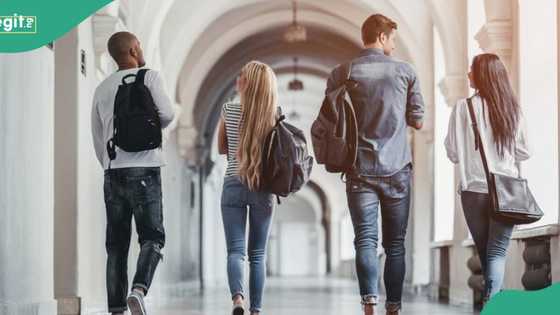 “Free tuition”: Nigerians invited to apply for fully-funded scholarship in Germany