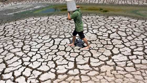 Climate change caused 26 extra days of extreme heat in last year: report