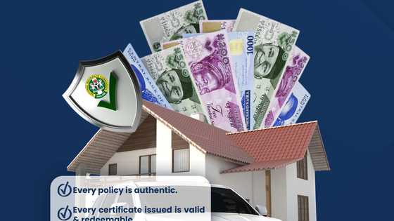 Top insurance brokers in Nigeria 2026: Reliable protection and risk management