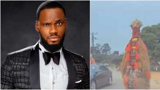 So the gods watch BBNaija: Nigerians react as masquerade recognises Prince, calls his name in funny video