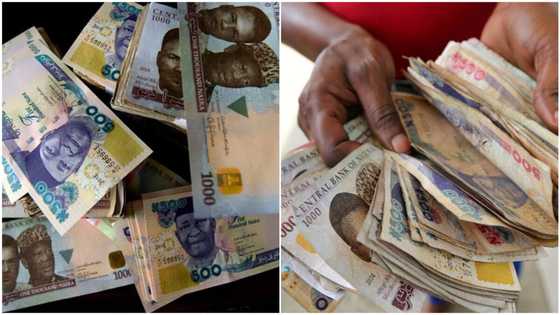 Sauki ya zo: Bankuna sun fara ba da tsoffin Naira, amma sun gindaya sharadi mai tsauri