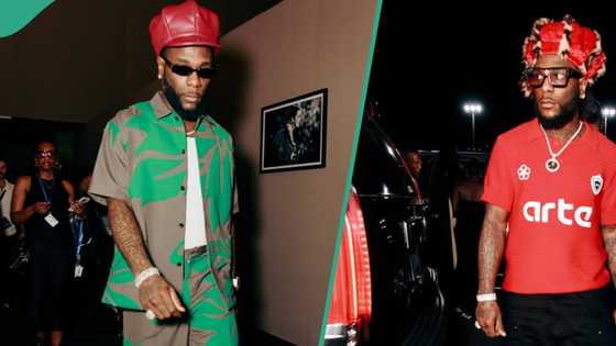 Imade custody drama: 30BG fan accuses Burna Boy of being impotent, singer gives him brutal response