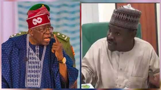 Gudaji Kazaure Ya Lissafa Jerin Sunayen Ministoci Da Muƙarraban Buhari Da Ya Kamata Tinubu Ya Kama Su Da Dalilai, Bidiyon Ya Yadu
