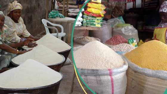 Benue leads as new report shows Nigerian states with cheapest, costliest food prices for May