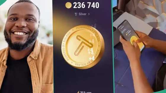 An tabo 'yan baiwa: Ana ta batun Dogs, masanin Crypto ya hango makomar Tapswap