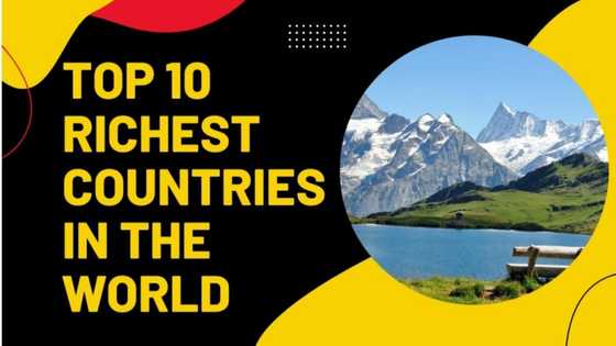 Top 10 Richest Countries in the World: See Where Your Country Ranks
