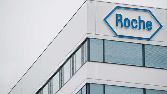 Trump drug price plan could nix investment, warns Roche