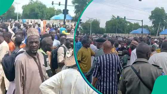 Zamfara: Mutane sun gaji da hare haren 'yan bindiga, sun nuna fushinsu ga gwamnati