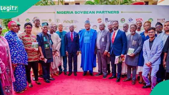 Za a samar wa matasa miliyan 1 ayyuka ta hanyar noma a jihohi 22