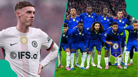 Frustrated Cole Palmer argues with Chelsea teammate after embarrassing Everton defeat, video