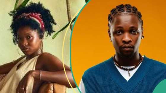 Nigerians compare Laycon's 60% Lockdown win to Ilebaye's 30% All Stars votes: "Star of all stars"