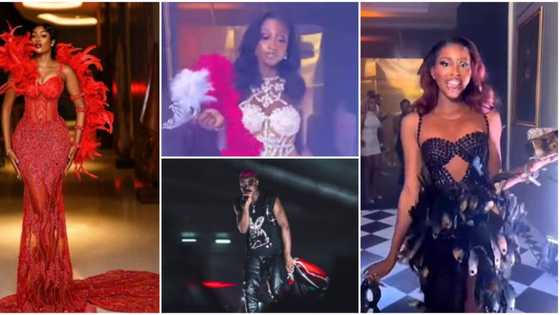 “This one pass carnival”: Videos emerge as BBNaija stars storm Beauty’s birthday party, Ruger performs
