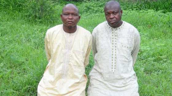 Bayan wata 4, Boko Haram sun sako jami'in gwamnati da mutum 1 da suka sace