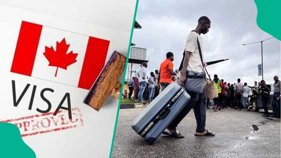Nigerians seeking Canada visa get major update as FG moves to end processing delays