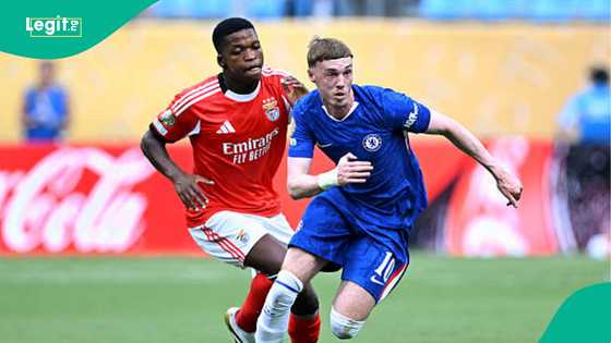 Why Chelsea vs Benfica was suspended for over 2 hours at Club World Cup