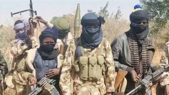 'Yan Bindigan Zamfara Na Neman Fushin Allah Ya Sauka a Kansu, Sheikh Abdullahi Dalla-Dalla