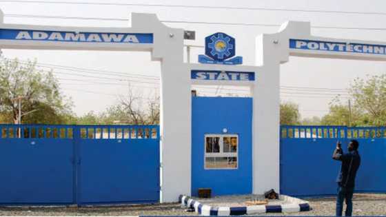 Kwalejin kimiyya da fasaha na Adamawa za ta fara karatun digiri, in ji Rector