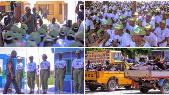 Palliative: Governor Zulum donates N30,000 to each NYSC member in Borno, shares 100 bags of rice