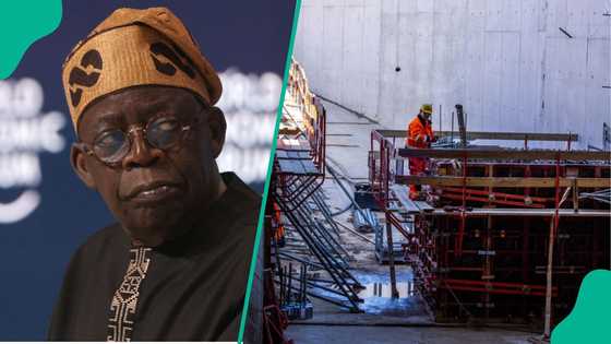 Multinationals' exit from Nigeria cost the country N94 trillion, says NESG