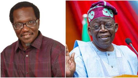 2023: Big trouble for APC, Tinubu as CAN member reveals how his name was smuggled into campaign list