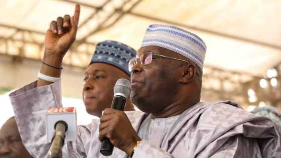 2023 polls: Atiku goes berserk, calls out Fani-Kayode, Onanuga over verbal attacks on Igbos