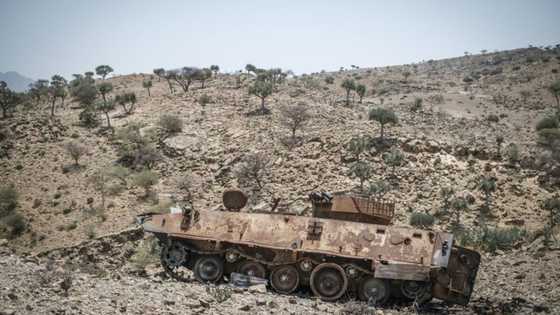 Ethiopia rivals still talking peace in South Africa