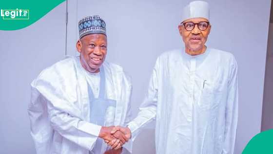 Bayan ganawarsu, an tono bidiyo da Ganduje ke sukar Buhari kafin zaben Tinubu
