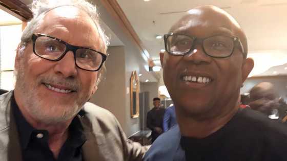 "Make una start donating shi shi": Reactions as staunch American supporter of Peter Obi begs for $10,000