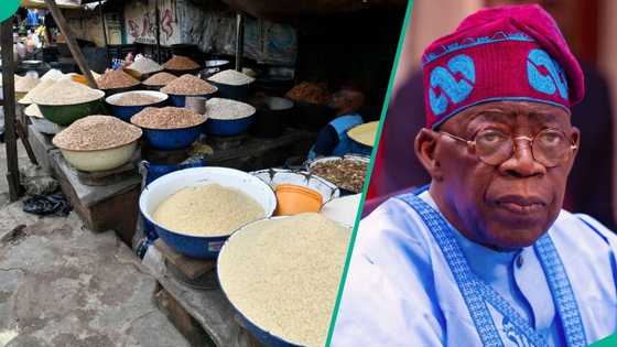 Food prices: Rice, beans, garri crash in markets as Tinubu gives order to FEC