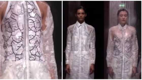 Video of 2 ladies modeling dissolving dresses on fashion runway sparks reactions
