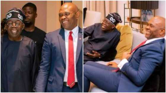 President-elect Bola Tinubu meets Tony Elumelu, details and video emerge