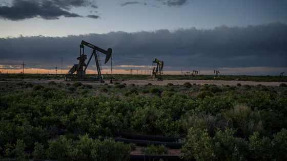 US oil giants produce mainly at home but send more tax dollars overseas