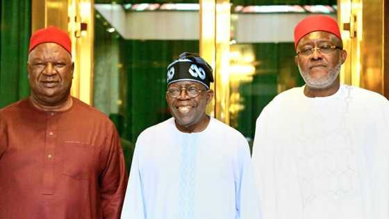 “We encourage, congratulate him for bold steps”: Anyim, Metuh give full details of meeting with Tinubu
