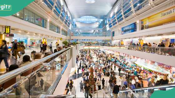 UAE gives stranded travellers two options as 30-day grace period expires