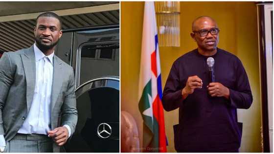 He's the most qualified: Peter Okoye sparks reactions as he goes all out to campaign for Peter Obi