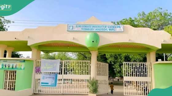 Aliko Dangote University gives 3 options as KEDCO disconnects power over N248m bill