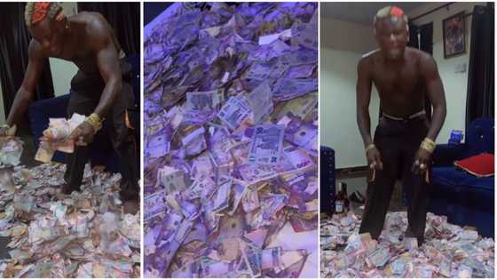 “Warri really showed me love”: Fans react to video of Portable flaunting N100 and N50 notes sprayed on him