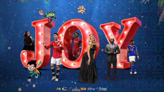 Here is How You Can Choose Joy Every Day this Festive Season!