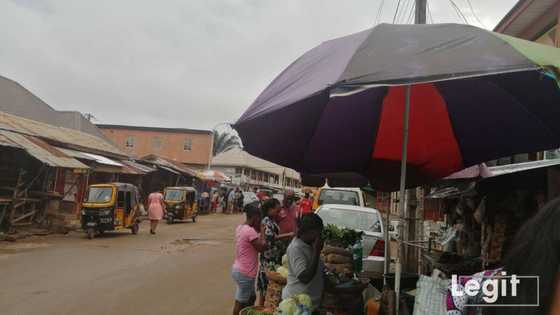 Sit-at-home: Anambra residents go about their duties day after huge election boycott